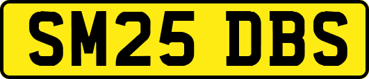 SM25DBS