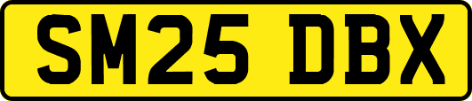 SM25DBX