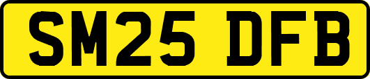 SM25DFB