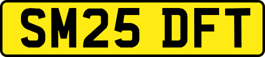 SM25DFT