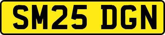 SM25DGN