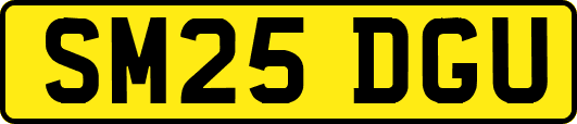 SM25DGU