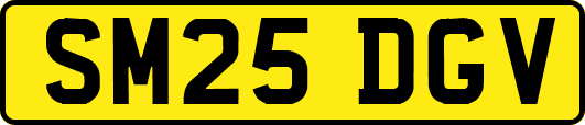 SM25DGV