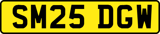 SM25DGW