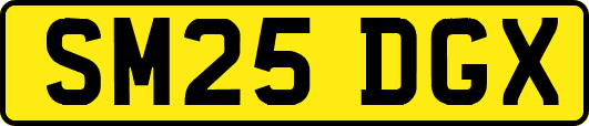 SM25DGX