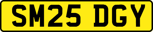 SM25DGY