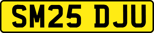SM25DJU