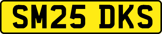 SM25DKS