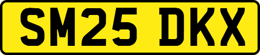 SM25DKX