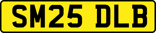 SM25DLB