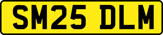 SM25DLM