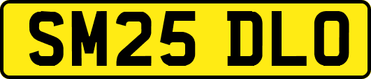 SM25DLO