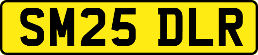SM25DLR
