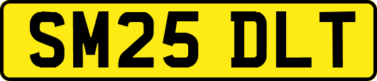SM25DLT