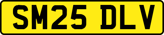 SM25DLV