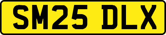 SM25DLX
