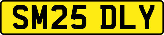SM25DLY