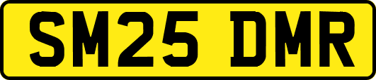 SM25DMR