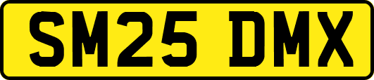 SM25DMX