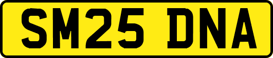 SM25DNA