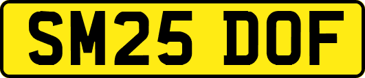 SM25DOF