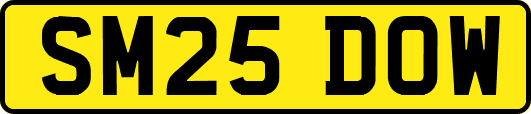 SM25DOW
