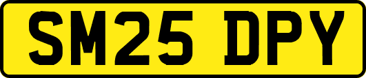 SM25DPY