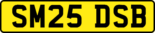 SM25DSB