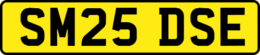 SM25DSE