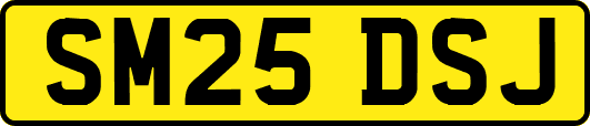 SM25DSJ
