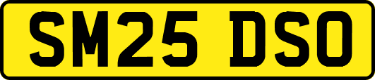 SM25DSO