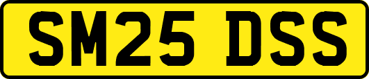SM25DSS