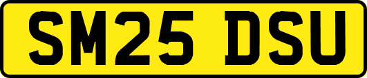 SM25DSU