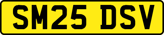 SM25DSV