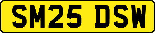 SM25DSW