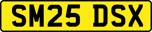 SM25DSX