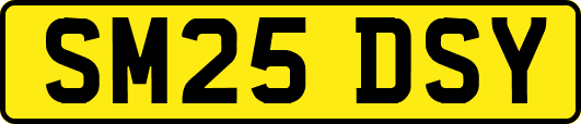 SM25DSY