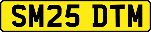SM25DTM