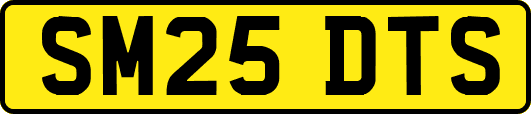 SM25DTS