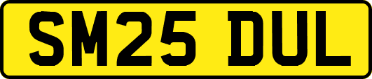 SM25DUL