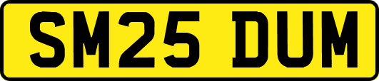 SM25DUM