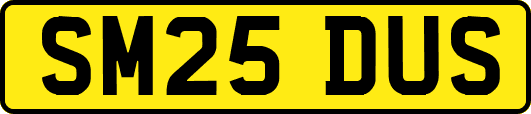 SM25DUS