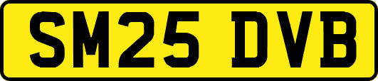 SM25DVB
