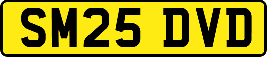 SM25DVD