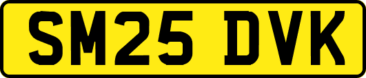 SM25DVK