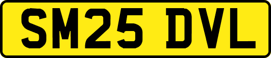 SM25DVL