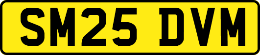 SM25DVM