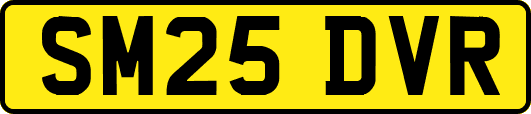 SM25DVR