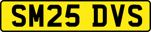 SM25DVS