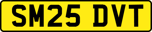 SM25DVT